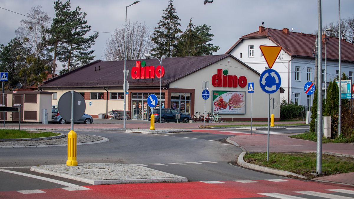 Promocje w Dino. Na co warto rzucić okiem?