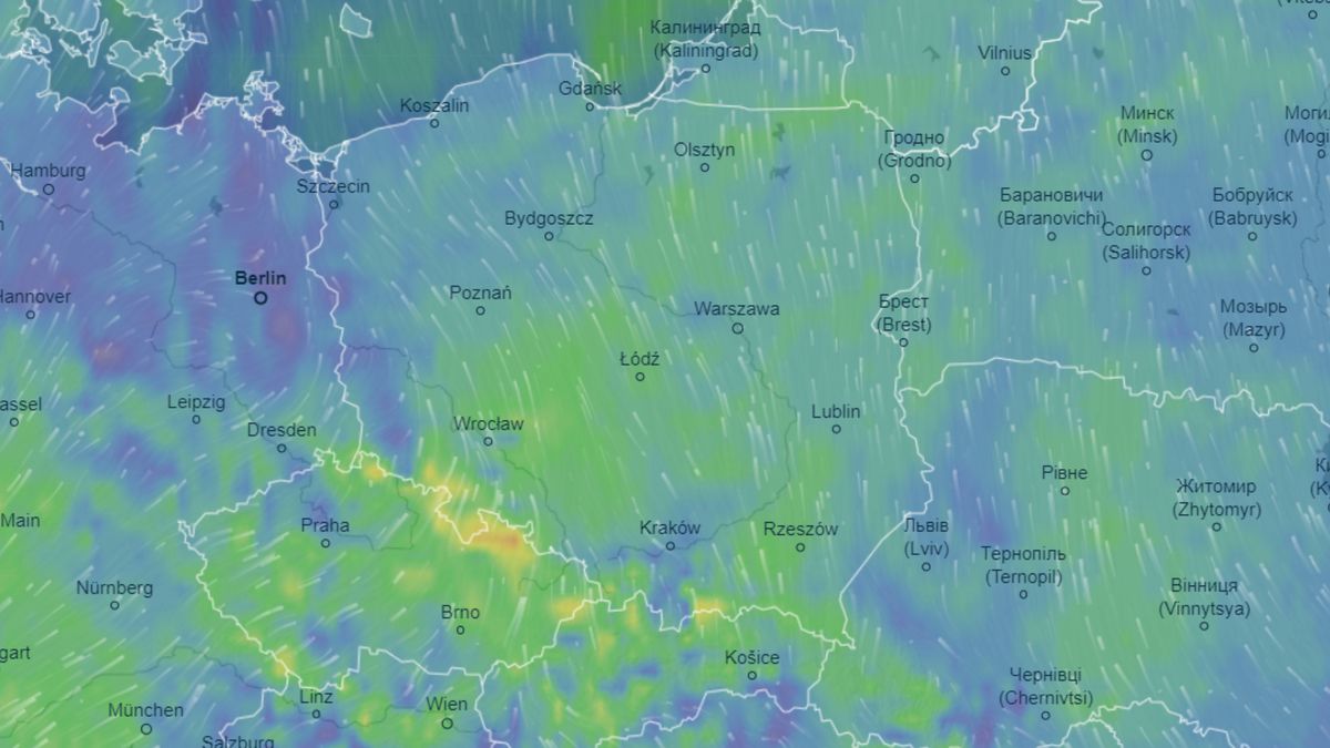 IMGW ostrzega przed silnym wiatrem