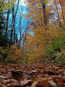 Ojcowski Park Narodowy