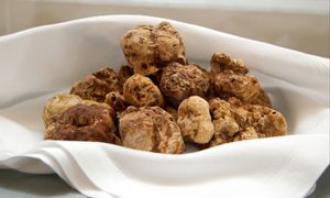 Wyjątkowe grzyby na aukcji. Sprzedano je za pół miliona złotych