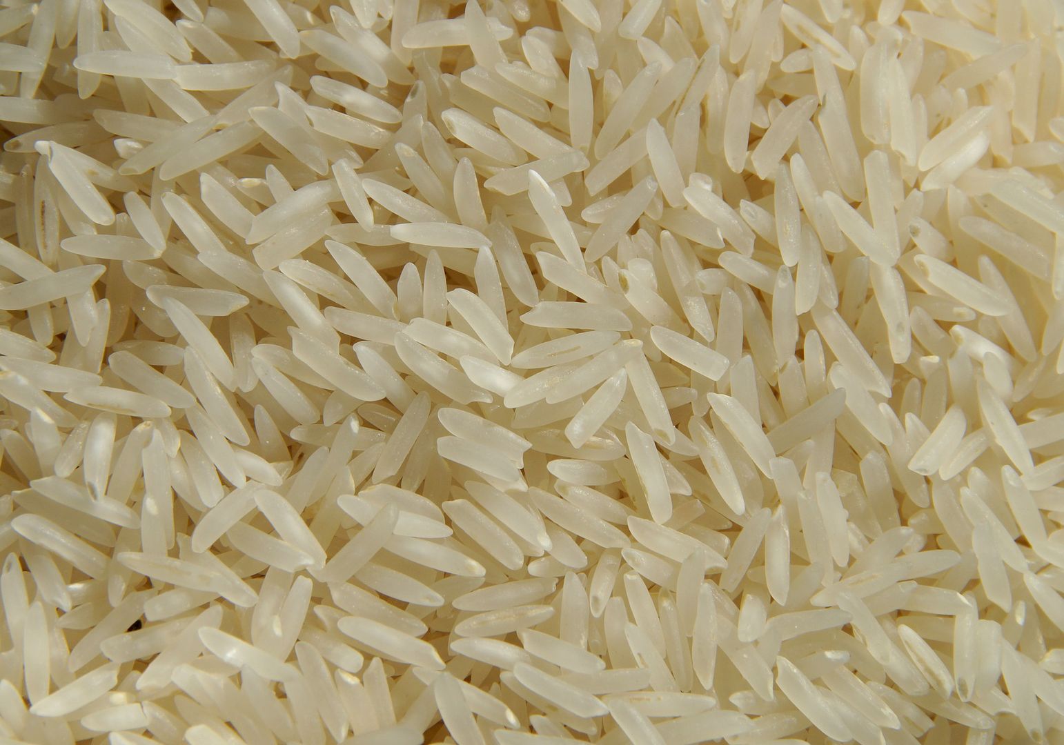 Włóż miskę ryżu do szafy. Nie uwierzysz, co się stanie