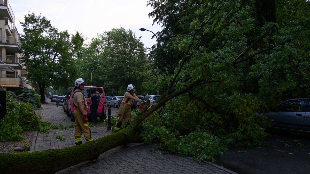 Skutki burz - zdjęcie ilustracyjne