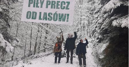 Wycinka lasów. Pomimo minusowej temperatury ekolodzy protestują w otulinie Bieszczadzkiego PN