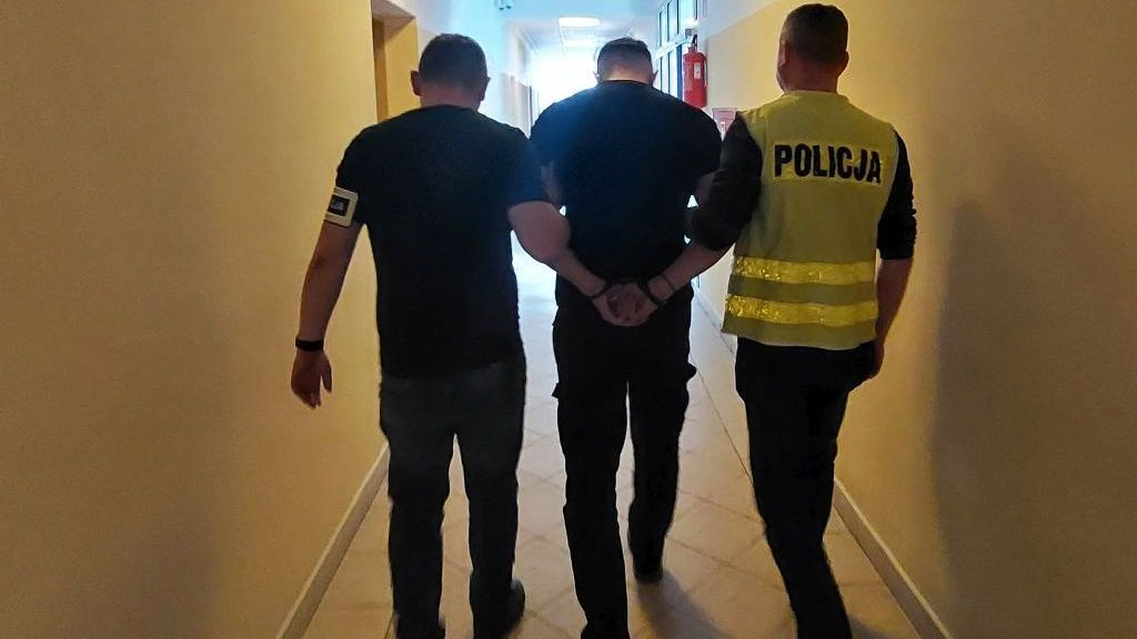 policja