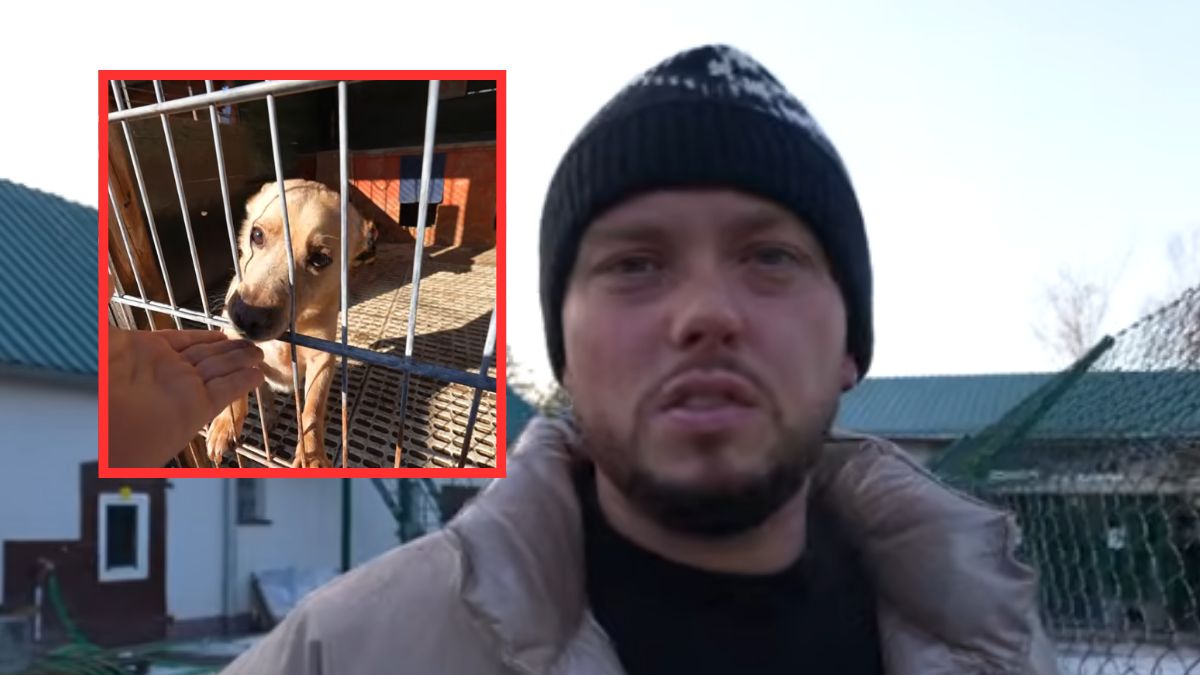 Książulo wsparł schroniska w Toruniu i okolicach.