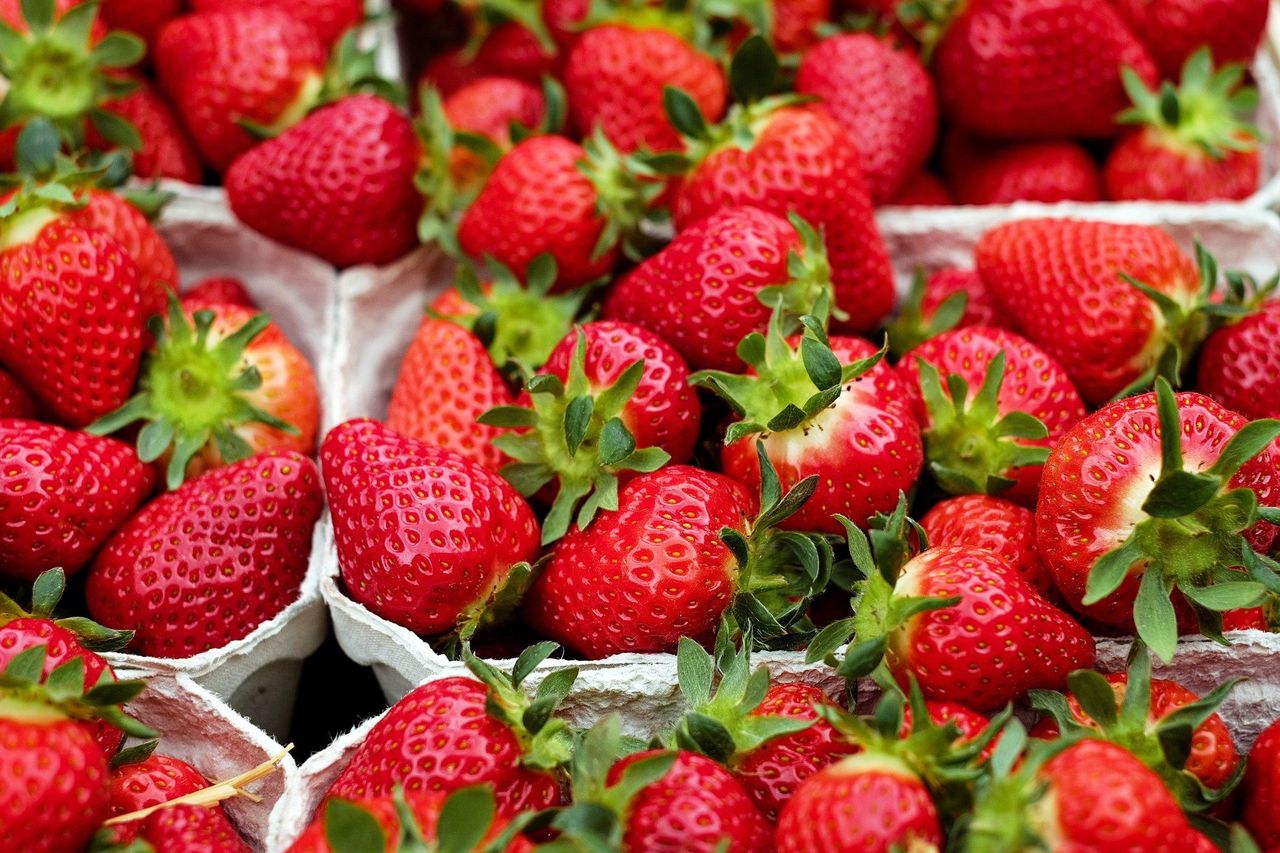 Ceny polskich truskawek w maju przyprawiają o zawrót głowy. Ile za 1 kg?