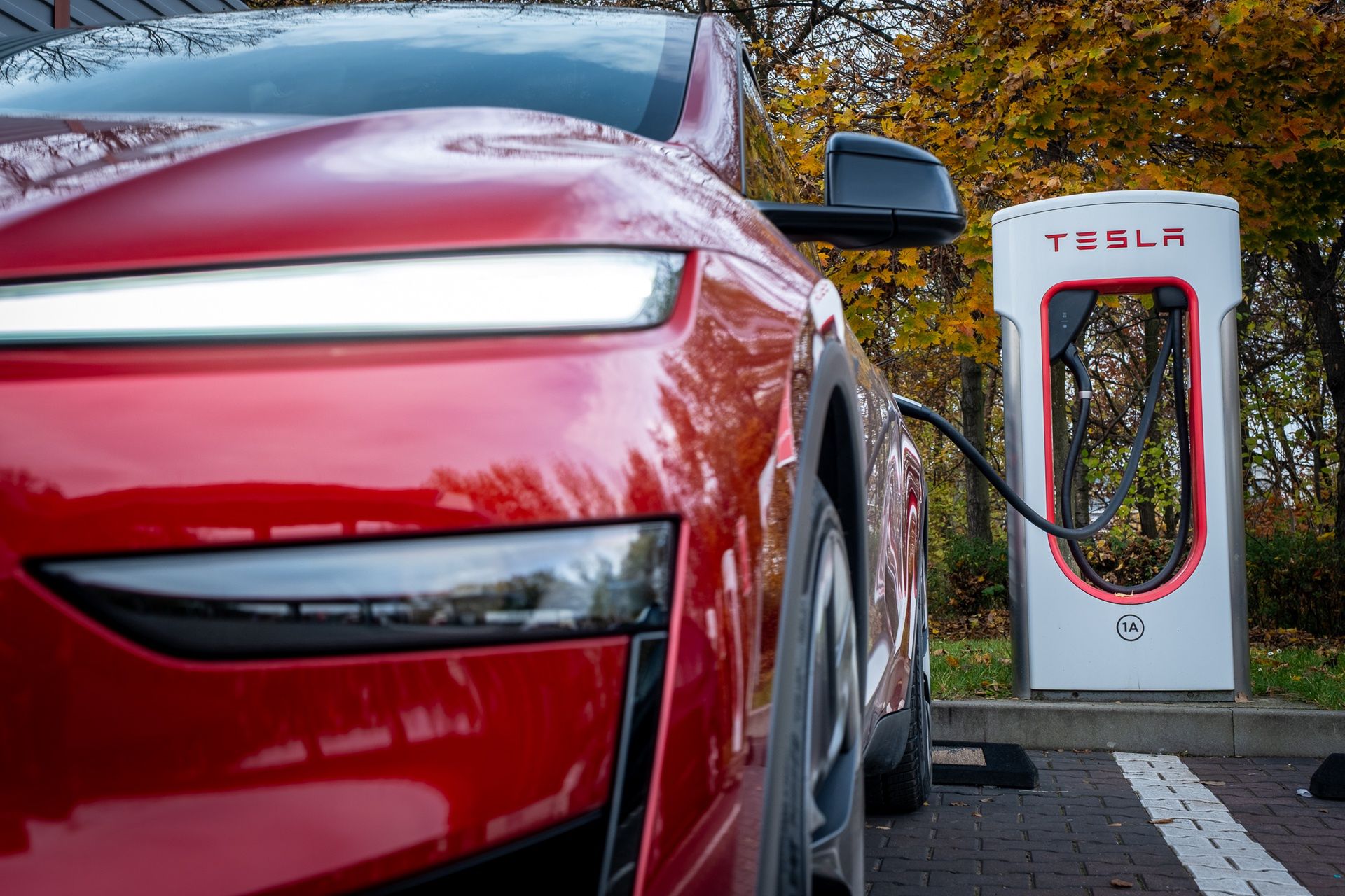 Tesla Model Y Performance (2025)