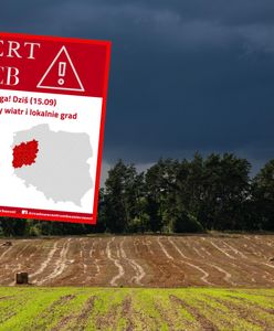 Burze i silny wiatr nad Polską. Część kraju na czerwono
