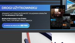 TVP wygasza jeden z serwisów streamingowych