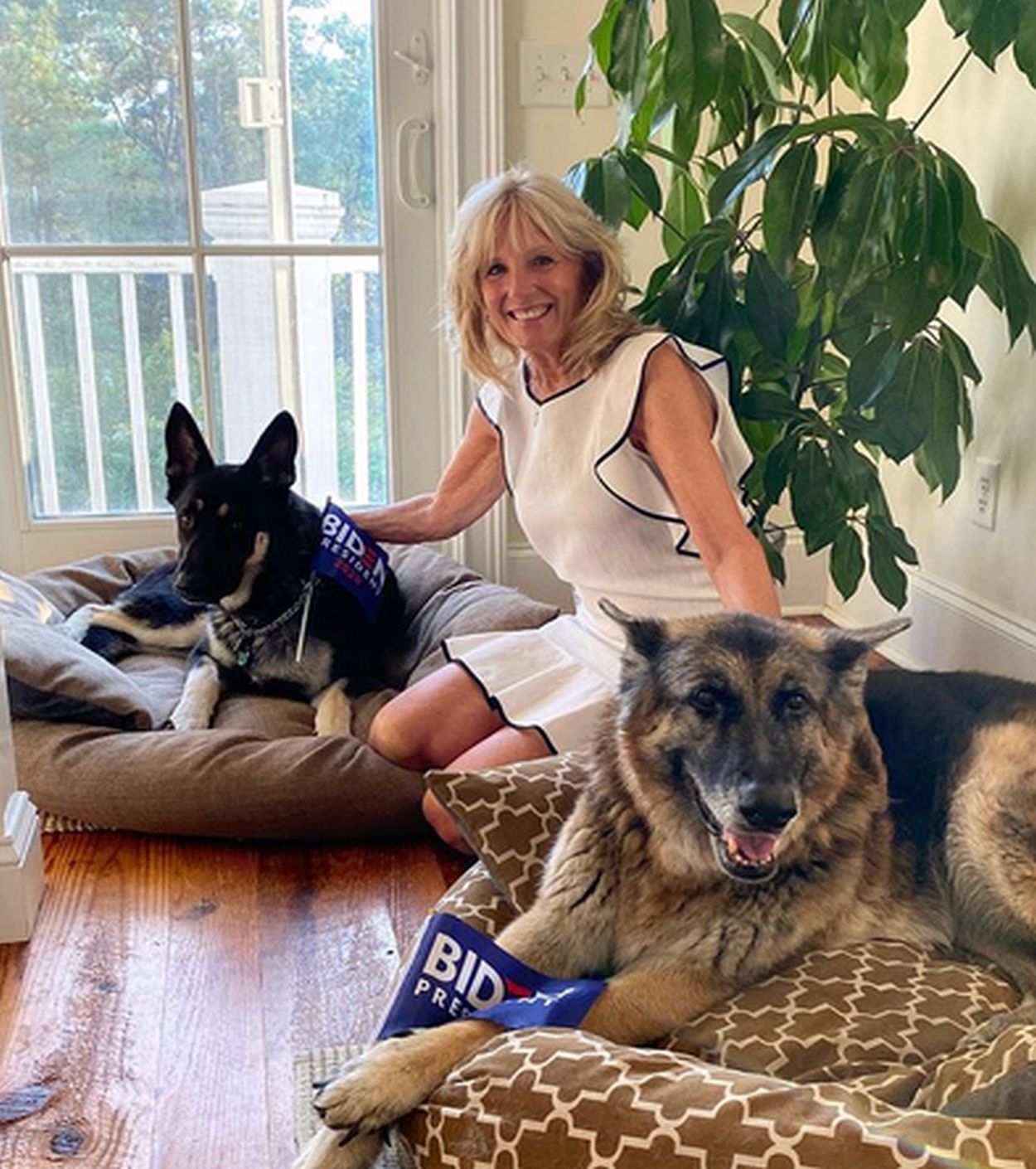 Jill Biden z psem