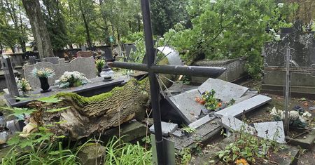 Ponad 100 interwencji strażaków w Płocku i powiecie. Silny wiatr łamie drzewa i uszkadza dachy!