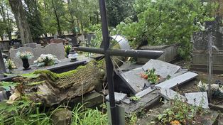 Ponad 100 interwencji strażaków w Płocku i powiecie. Silny wiatr łamie drzewa i uszkadza dachy!