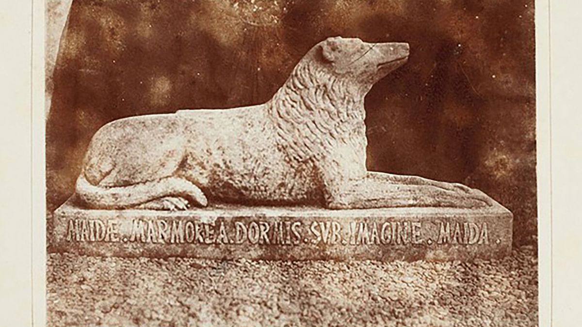 Kolekcja zdjęć Foxa Talbota sprzedana za 2 miliony dolarów. Był jednym z pionierów fotografii 1