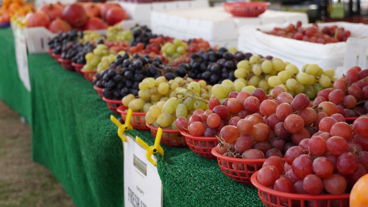 Winogrona Ruby Roman w Japonii osiągają zawrotne ceny (zdj. ilustracyjne).