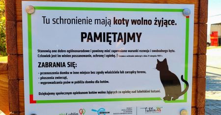 Lublin — Zakupiono domki dla kotów wolno żyjących. Koty regulują ilość gryzoni w mieście. Są dla nas ważne. Zamieszkają w swoich M6
