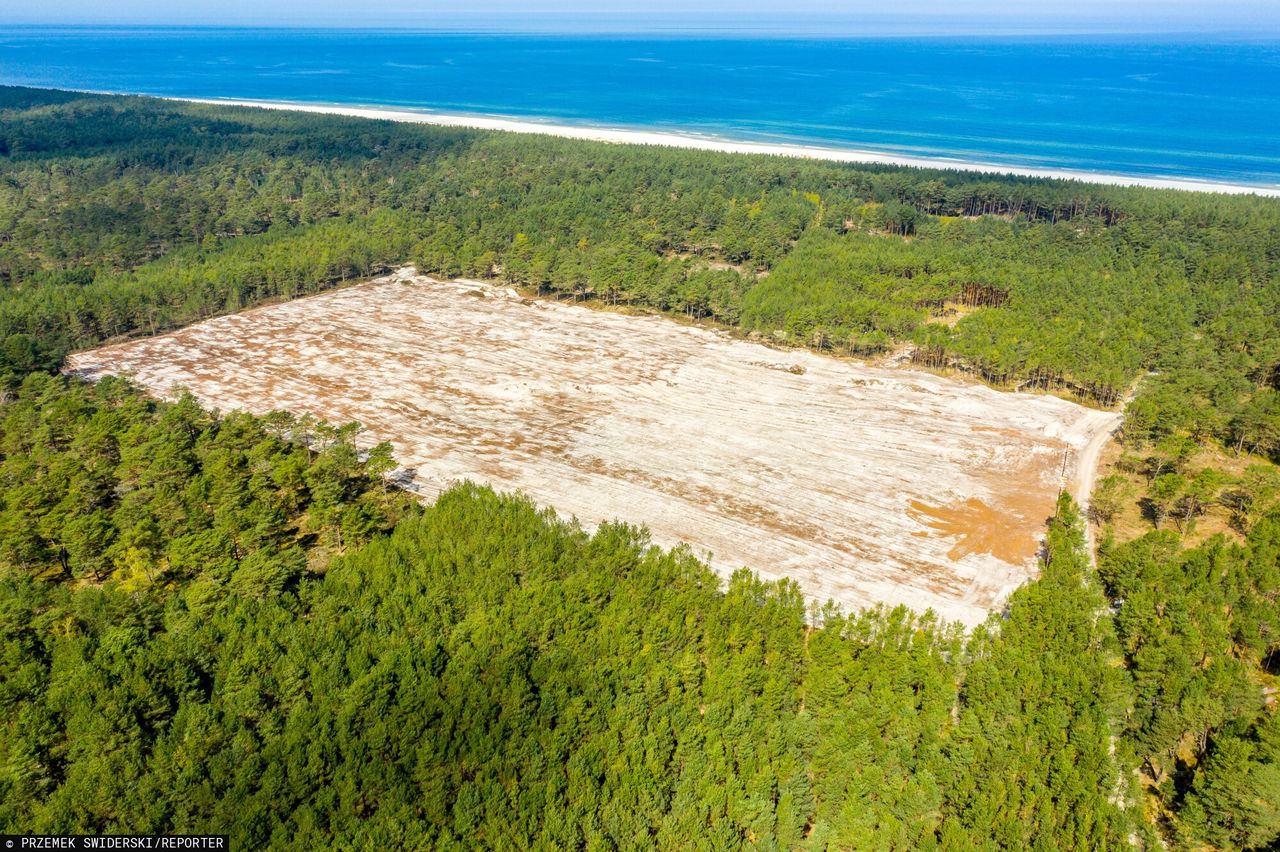 Polska elektrownia jądrowa. Prezes mówi, na jakim etapie jest budowa