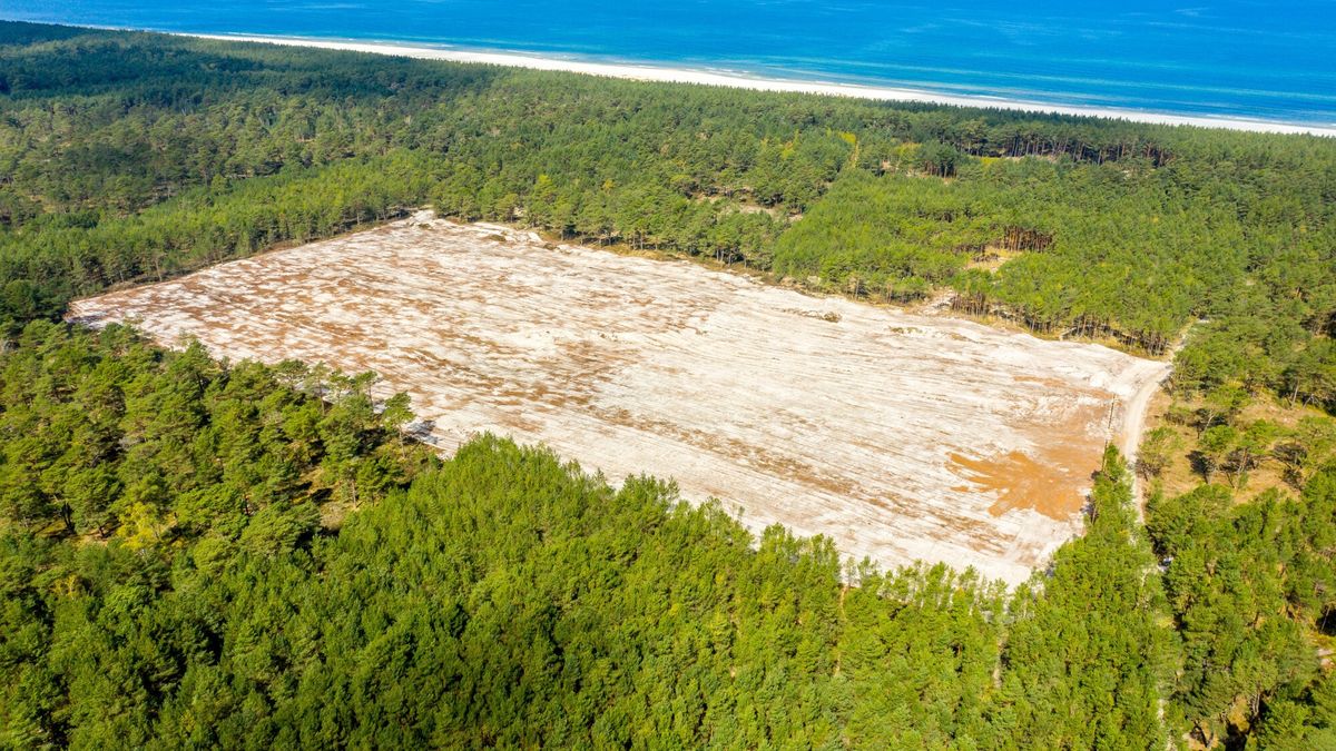 Teren pod budowę elektrowni jądrowej