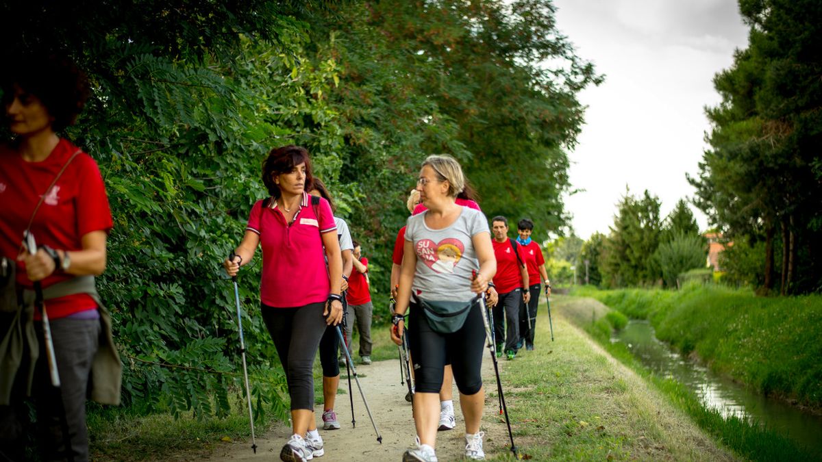 Jakie kije do nordic walking?