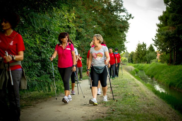 Jakie kije do nordic walking?