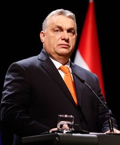 Orban jako jedyny na "nie". Tak się teraz tłumaczy