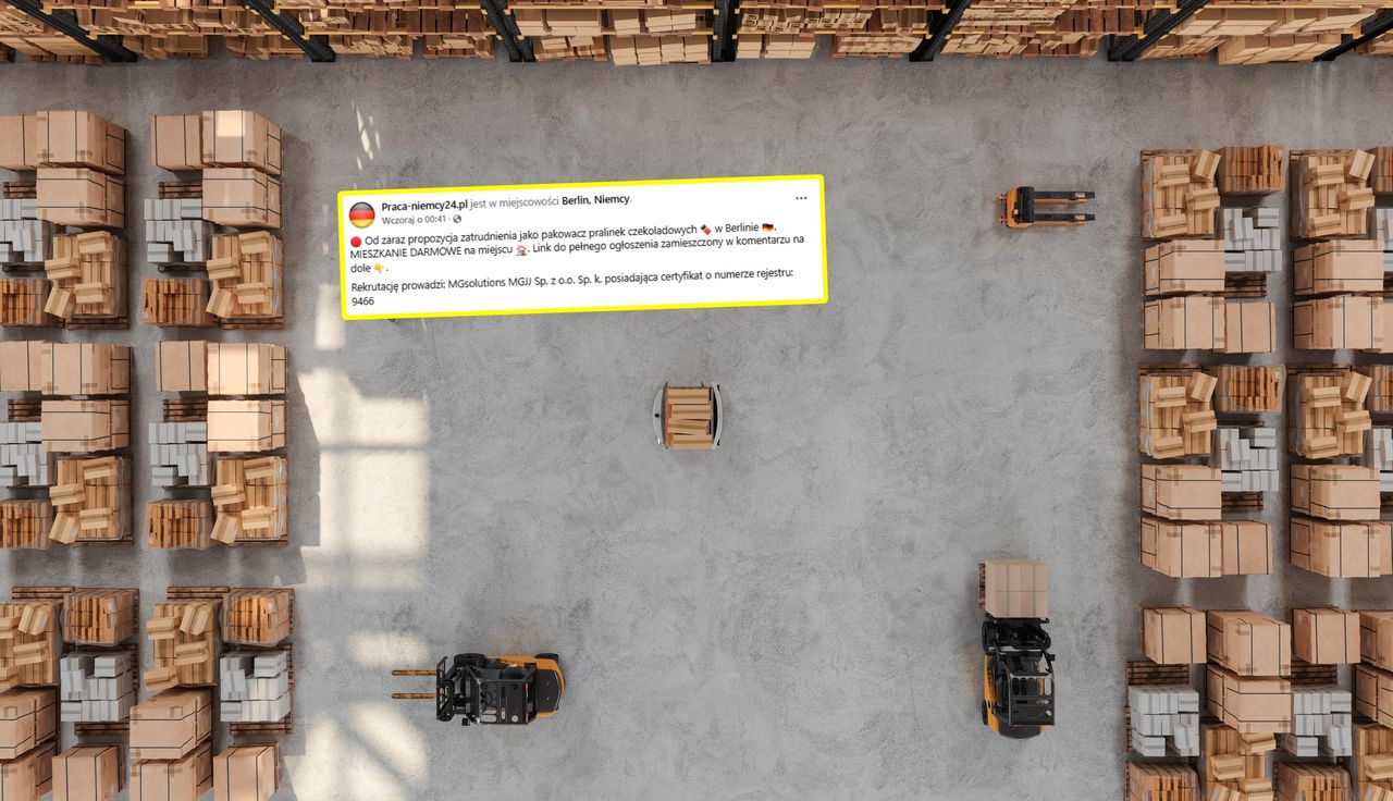 Niemcy dają pracę. Mieszkanie za darmo. Poruszenie w Polsce