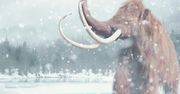 Zmiany klimatu doprowadziły do wyginięcia mieszkańców Europy Zachodniej? Ciekawe wnioski na temat życia w epoce lodowcowej
