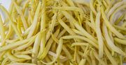 Co oznaczają plamki na fasolce szparagowej? Uważaj, zanim ugotujesz