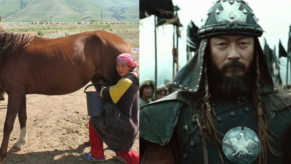 Kumys. Energetyk, który pozwolił Mongołom podbić świat