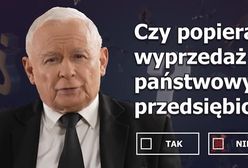 Kaczyński wyłożył karty na stół. "Skandaliczne"