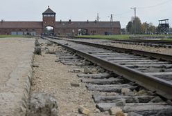 Budka z lodami przy Bramie Śmierci w Birkenau. "Ufamy, że władze samorządowe rozwiążą ten wstydliwy problem"