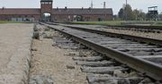 Budka z lodami przy Bramie Śmierci w Birkenau. "Ufamy, że władze samorządowe rozwiążą ten wstydliwy problem"