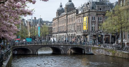 Rewolucja na ulicach Amsterdamu. Zniknęły reklamy mięsa i paliw kopalnych