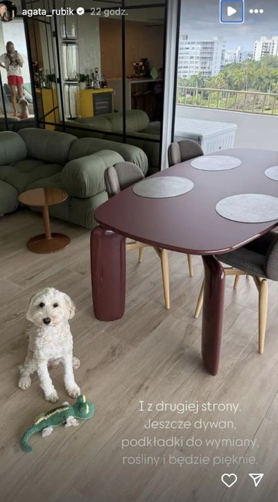 Agata Rubik pochwaliła się nowymi meblami w salonie