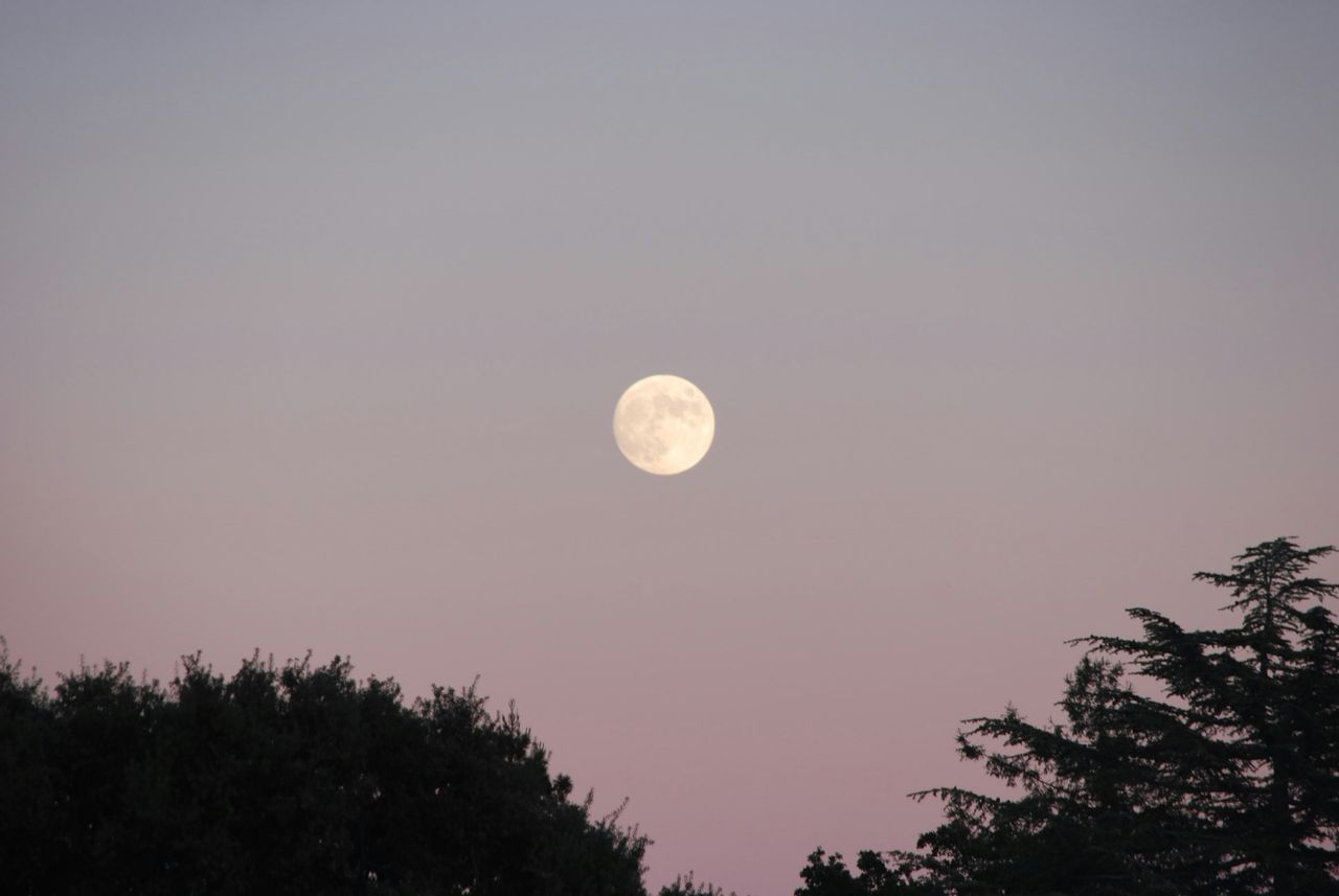 Pełnia Księżyca - zdjęcie poglądowe