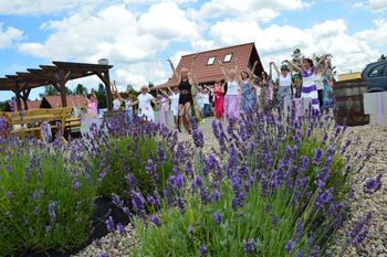 Festiwal pachnący lawendą. Będzie aromatycznie, zmysłowo i fioletowo