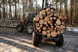 Problemy z opałem na zimę. Wrócili złodzieje drewna