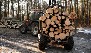 Problemy z opałem na zimę. Wrócili złodzieje drewna