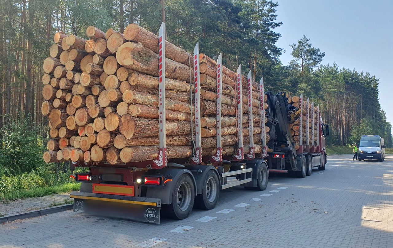 Przesada to mało powiedziane. Ciężarówka ważyła 65 ton