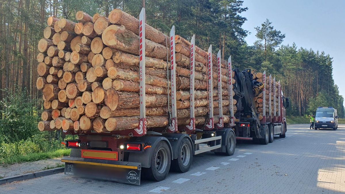 Przeładowane ciężarówki nie są w Polsce niczym niezwykłym. Tu skala przekroczenia była jednak powalająca