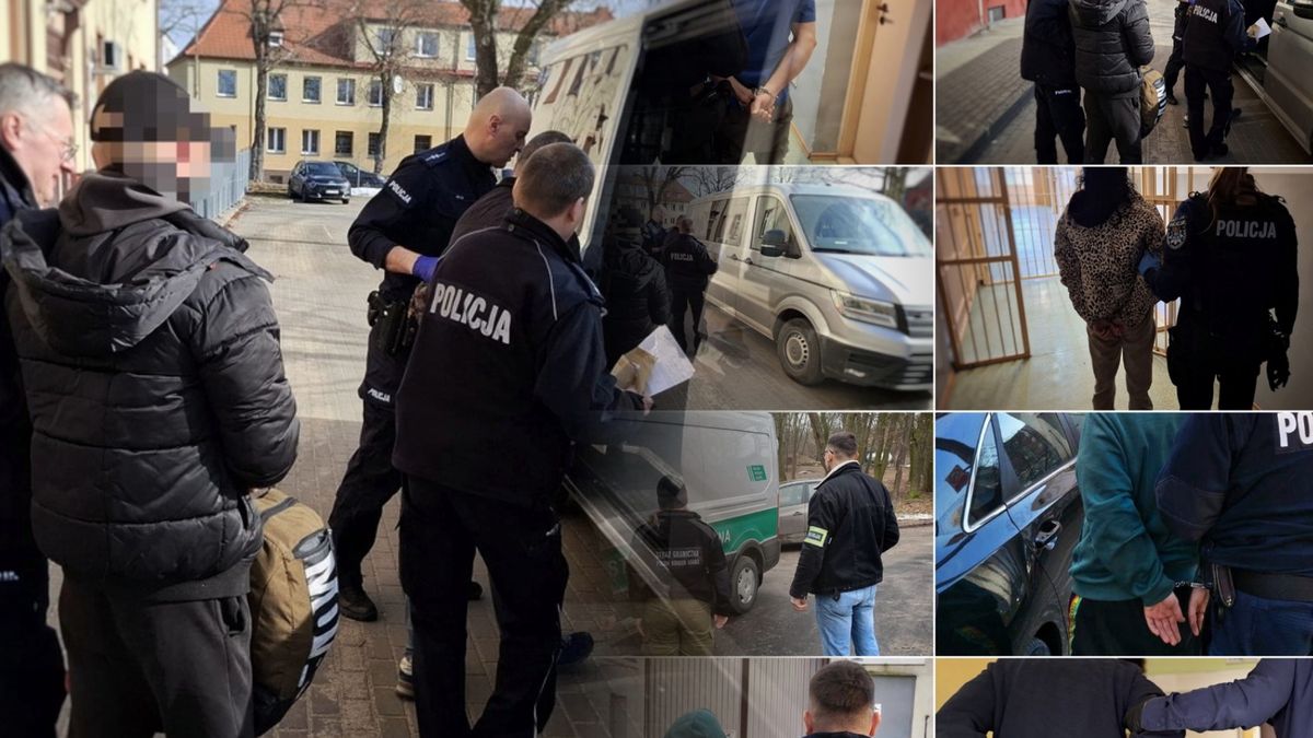 Skuteczne działania poszukiwawcze pomorskiej Policji