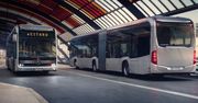 Holandia będzie zielona. Tym razem dzięki autobusom