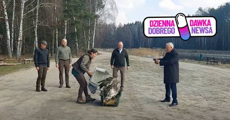 Leśnicy uratowali bielika. Wrócił na wolność