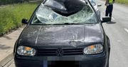 Śmiertelne potrącenie w Lublinie! Pijany Ukrainiec przejechał 68-latka na pasach i uciekł.
