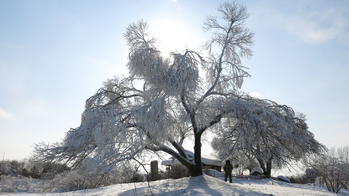 Zdjęcie ilustracyjne.