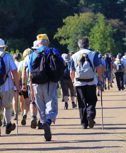 Seniorka zaginęła na pielgrzymce. Ksiądz został przeniesiony na inną parafię