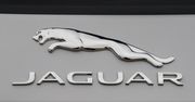 Jaguar grozi brytyjskiemu rządowi ws. Brexitu. Straty mogą być wielkie