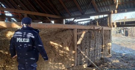 Dzielnicowi sprawdzają pustostany w trosce, by nikt nie zamarzł