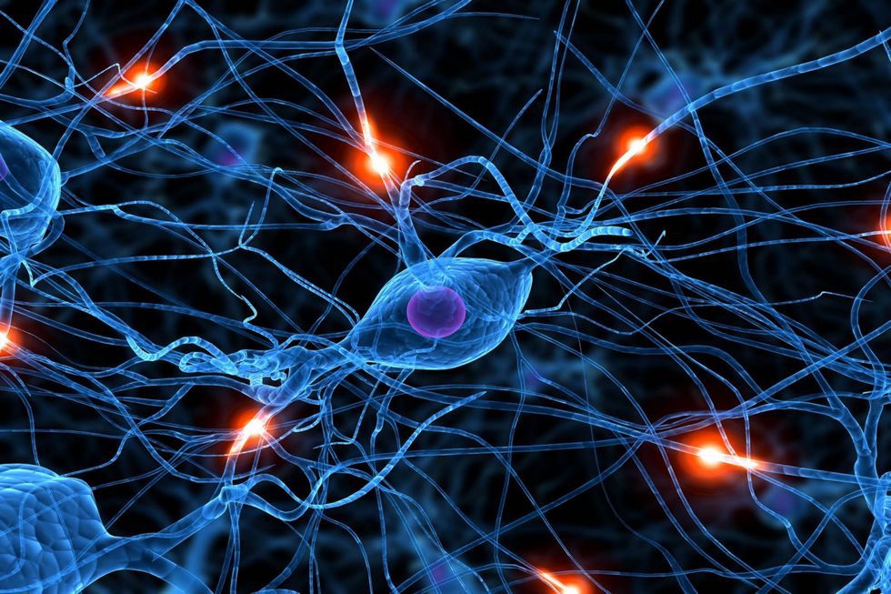 Program BRAIN: zdalnie sterowana, żywa mysz. Zrobią to samo z człowiekiem? 2
