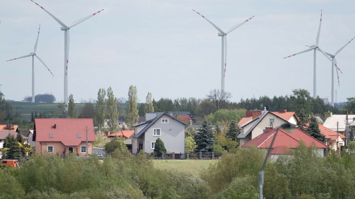 Reporter baza 2020-06-d07.05.2019 Pelplin Farma wiatrowa Fot. Wojciech Strozyk/REPORTERWojciech Strozyk/REPORTER