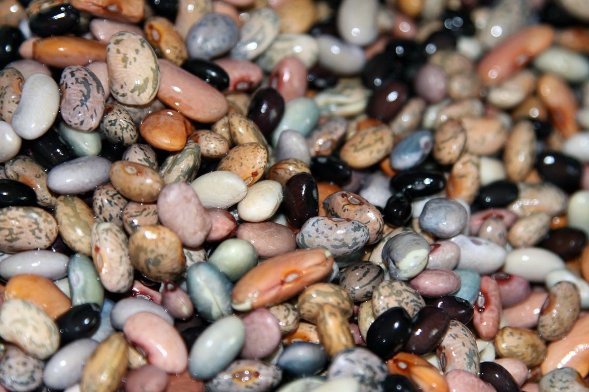 Seeds of leguminous plants have made it onto the list of recommended superfoods.